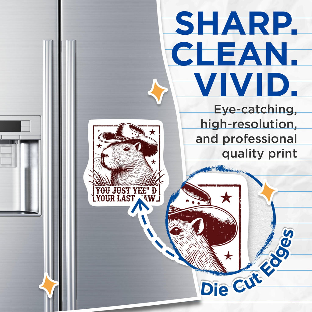 (2 Pack) You Just Yee'd Your Last Haw Magnets - Funny Sarcastic Capybara Magnets - 5 Inches On Longest Side - Premium Magnet - for Cars, Refrigerators, Toolboxes - Made in USA - MAG2227