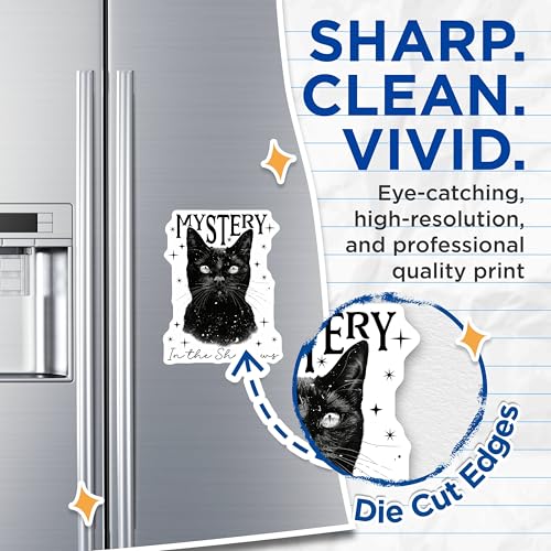 (2 Pack) Mystery Cat Magnets - in The Shadows Cat Magnets - Black Cat Art Magnets for Home Decor - 5" On Longest Side - for Cars, Refrigerators, Toolboxes, Lockers - Made in USA MAG3537