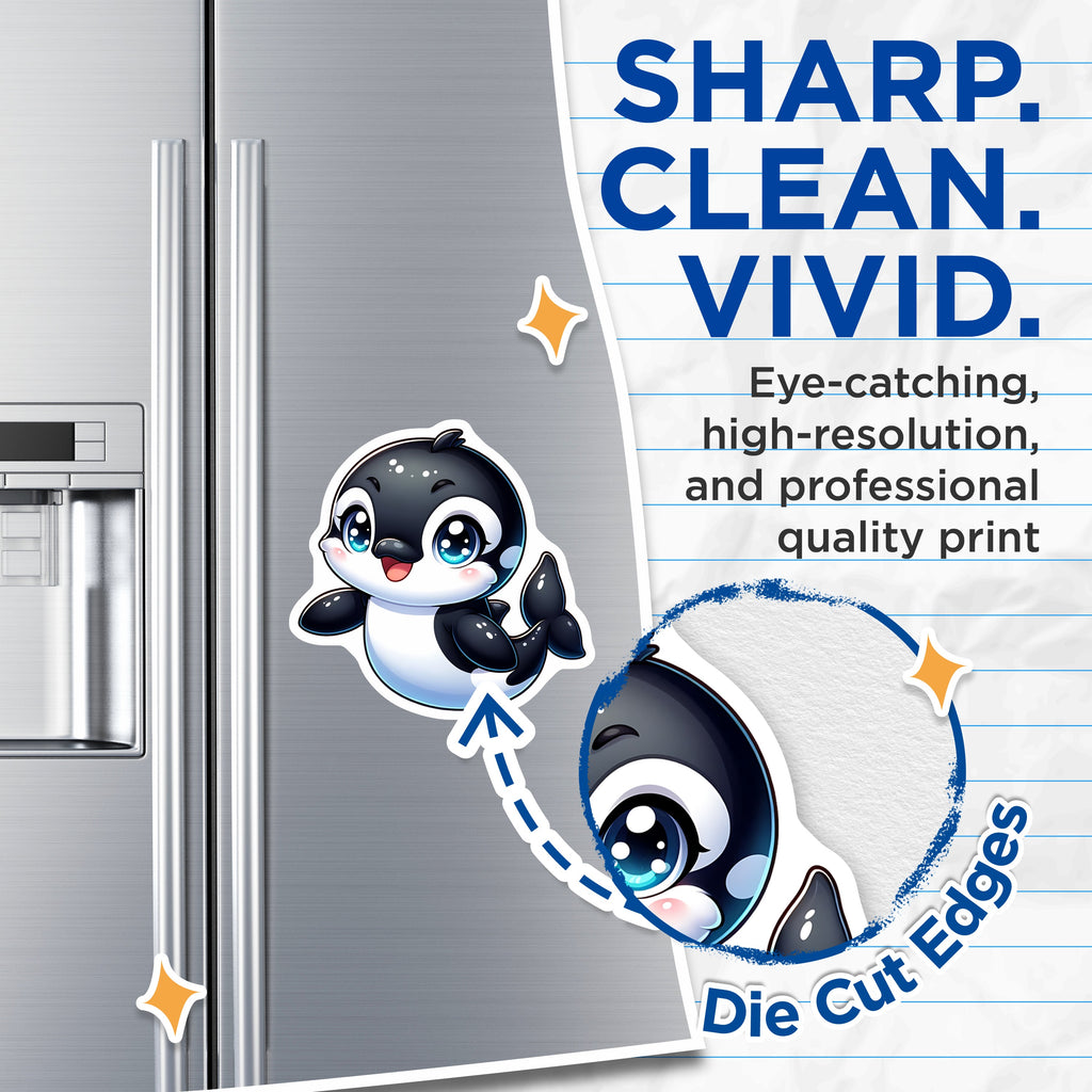 (2 Pack) Cute Orca Magnets - Kawaii Baby Whale - Ocean Animal Chibi Refrigerator Magnets - 5 Inches On Longest Side - Thick Durable Magnet - Made in USA - MAG38261