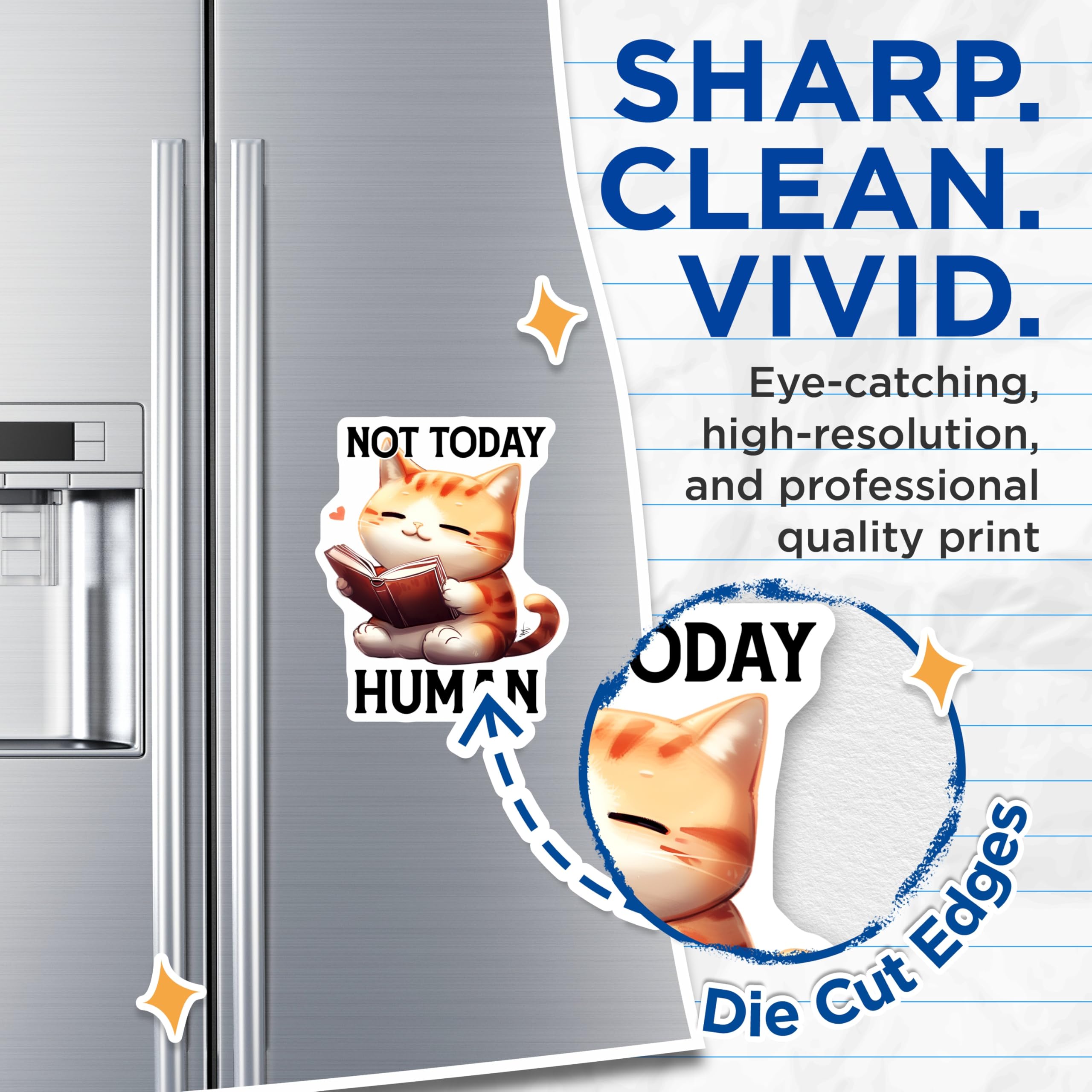(2 Pack) Funny Cat Magnets - Reading Cat - Not Today Human Fridge Magnets - 5" On Longest Side - Premium Magnet - for Cars, Refrigerators, Toolboxes, Lockers - Made in USA - MAG15048