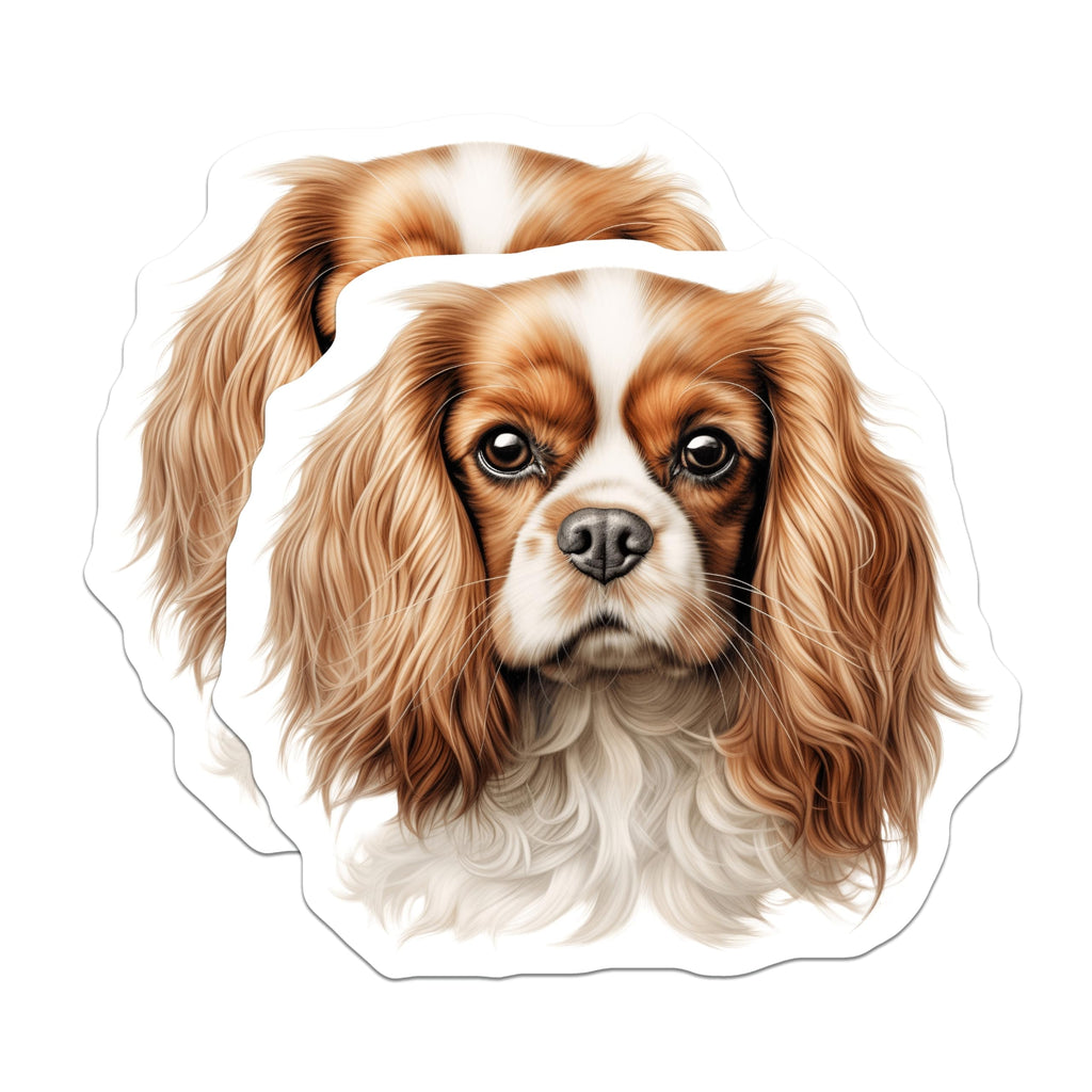 (2 Pack) Cavalier King Charles Spaniel Magnets - Dog Lover Accessory - Pet Owner Kitchen Decor - 5 Inches On Longest Side - Thick Durable Magnet - Made in USA - MAG29611