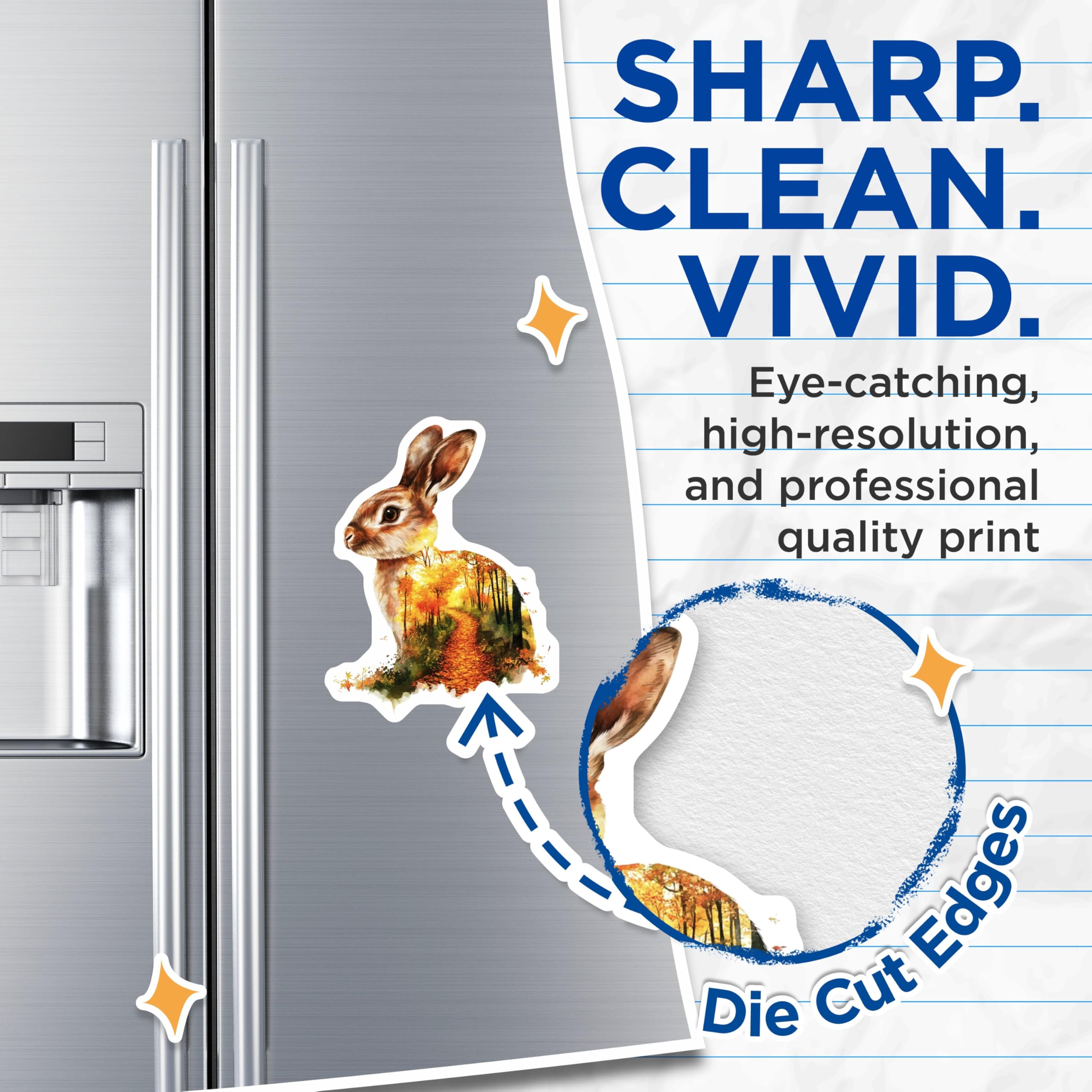 (2 Pack) Rabbit Magnets - Autumn Forest Animals - Cute Refrigerator Decor - 5" On Longest Side - Premium Magnet - for Cars, Refrigerators, Toolboxes, Lockers - Made in USA - MAG15973