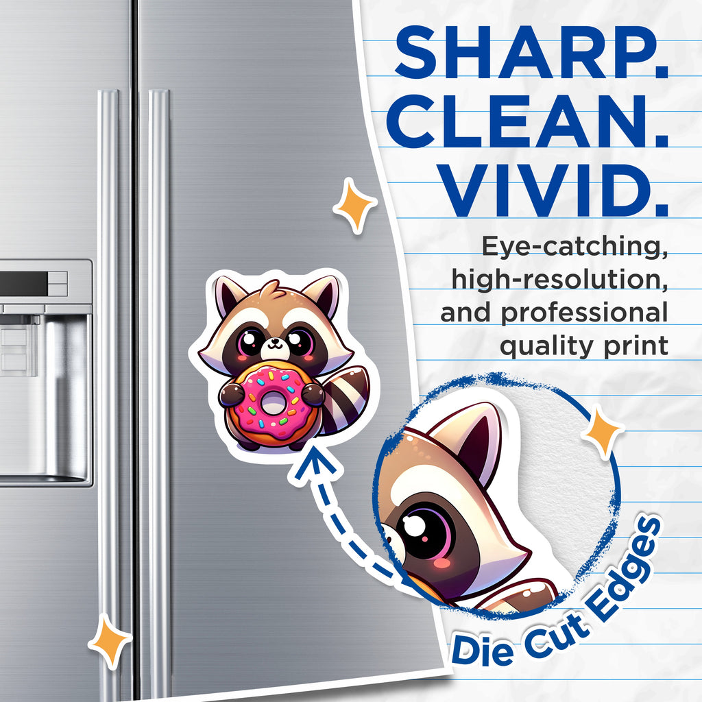 (2 Pack) Kawaii Raccoon Donut Magnets - Cute Animal Fridge Decor - Sweet Treat Locker Item - 5 Inches On Longest Side - Thick Durable Magnet - Made in USA - MAG37219