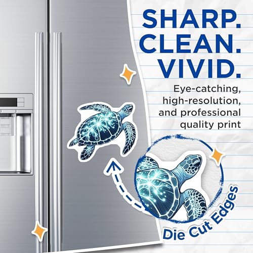 (2 Pack) Sea Turtle Art Magnet - Ocean Animal Decor - Coastal Kitchen Decor - 5" On Longest Side - Sticks to Smooth Flat Surfaces - Made in USA - MAG10087