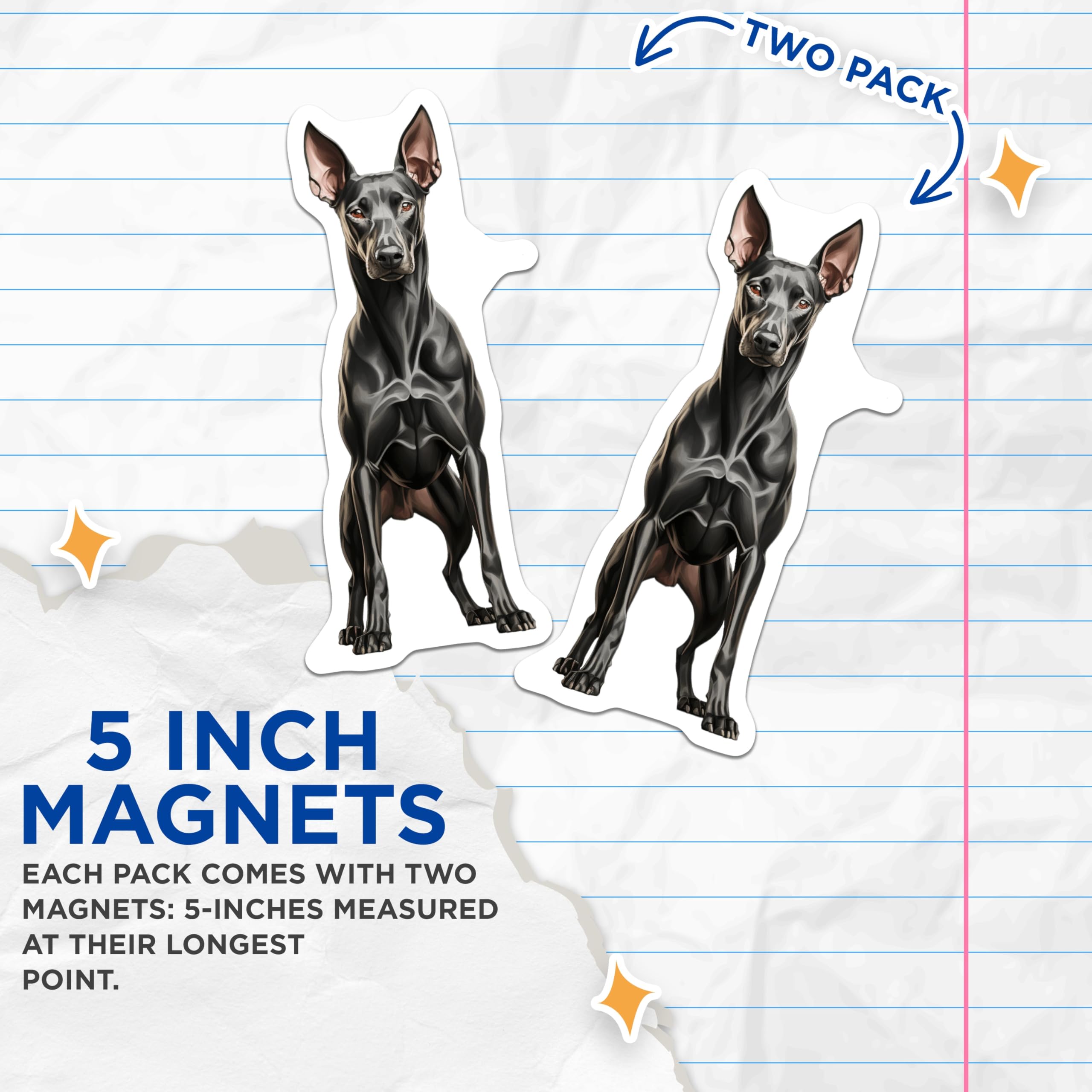 (2 Pack) Doberman Pinscher Magnets - Dog Lover Kitchen Decor - Pet Parent Refrigerator Art - 5 Inches On Longest Side - Thick Durable Magnet - Made in USA - MAG30624