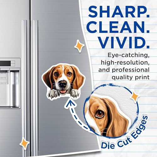 (2 Pack) Cute Beagle Face Magnet - Dog Lover Gifts - 5" On Longest Side - Sticks to Smooth Flat Surfaces - Made in USA - MAG9822