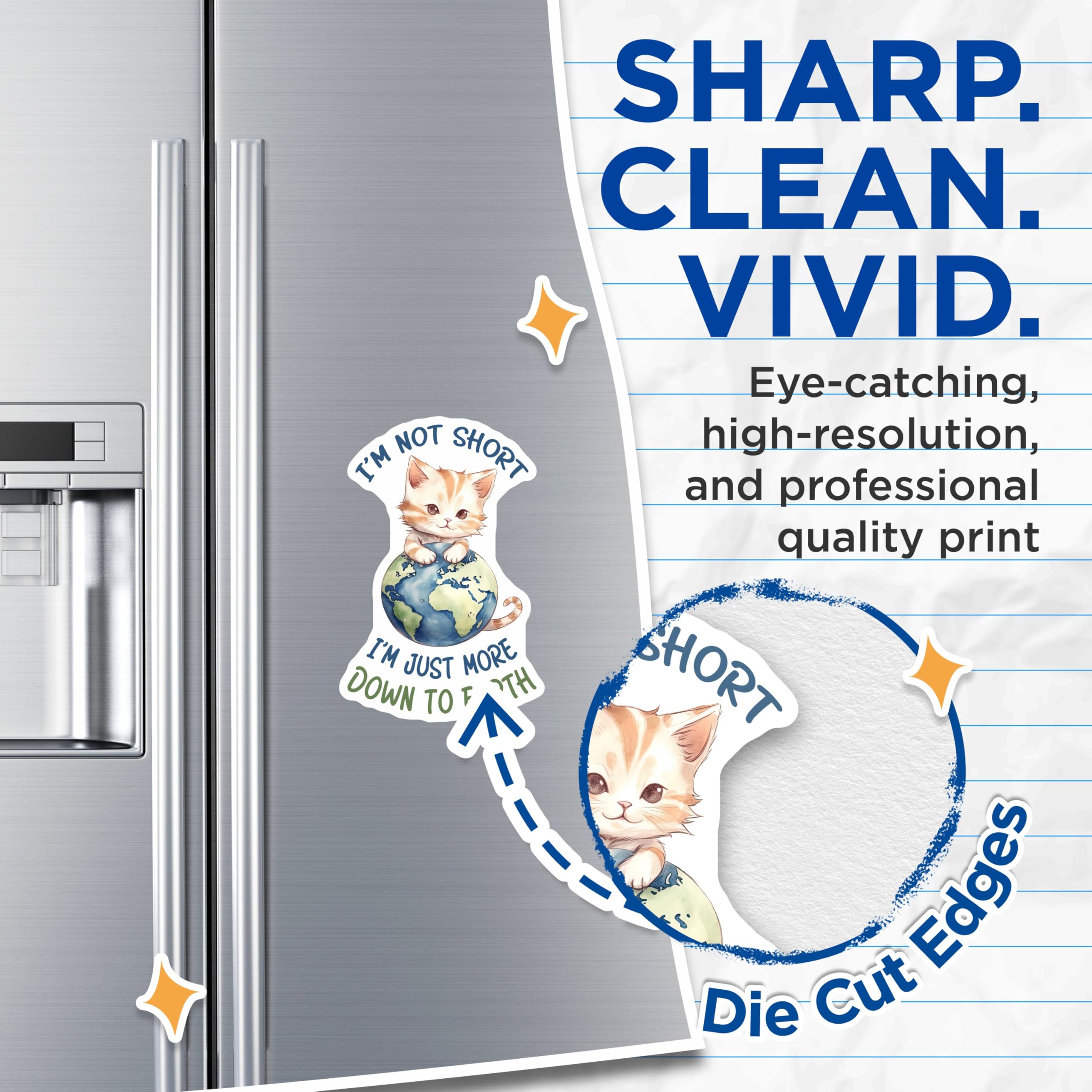 (2 Pack) Funny Cat Magnets - Down to Earth Magnet - Kitten Lover Refrigerator Decor - 5" On Longest Side - Premium Magnet - for Cars, Refrigerators, Toolboxes, Lockers - Made in USA - MAG14594