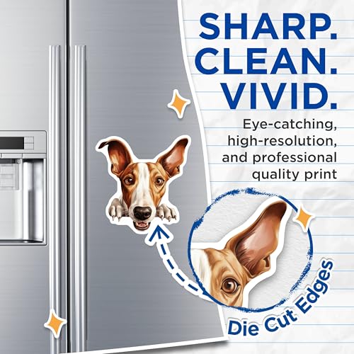 (2 Pack) Animal Lover Decor Magnet - 5" On Longest Side - Sticks to Smooth Flat Surfaces - Made in USA - MAG10196