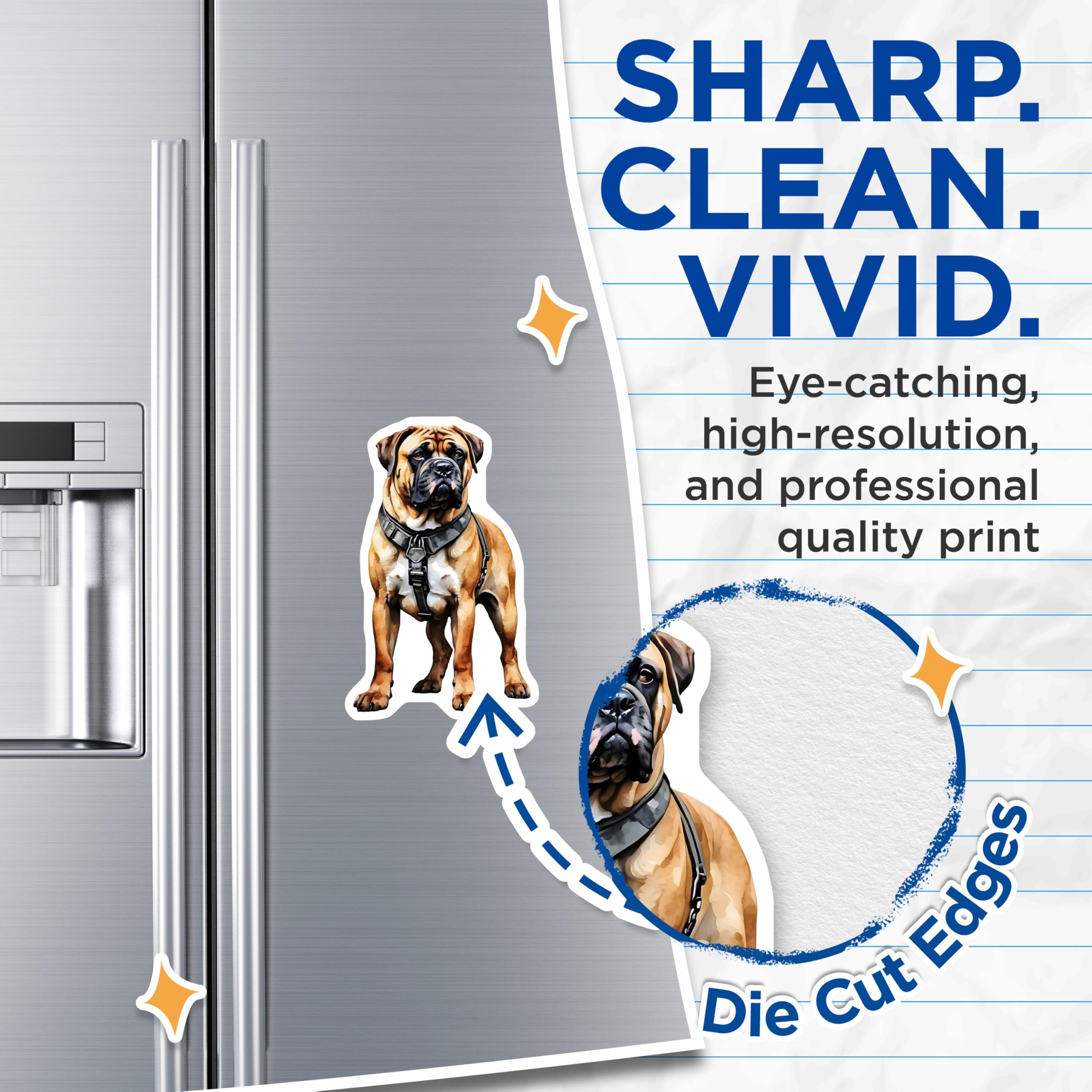 (2 Pack) Bullmastiff Dog Magnets - Canine Lover Decor - Bulldog Breed Merchandise - 5" On Longest Side - Premium Magnet - for Cars, Refrigerators, Toolboxes, Lockers - Made in USA - MAG14520