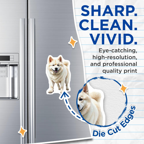 (2 Pack) Akita Dog Magnets - White Akita - Dog Lover Refrigerator Magnets - 5" On Longest Side - Premium Magnet - for Cars, Refrigerators, Toolboxes, Lockers - Made in USA - MAG14902