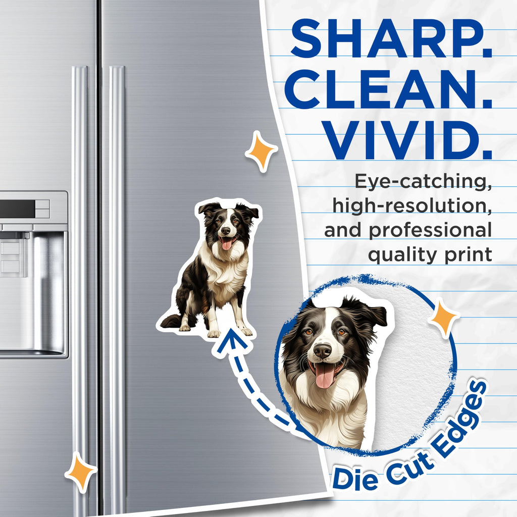 (2 Pack) Border Collie Magnets - Dog Owner Accessories - Herd Dog Fridge Art - 5 Inches On Longest Side - Thick Durable Magnet - Made in USA - MAG27824