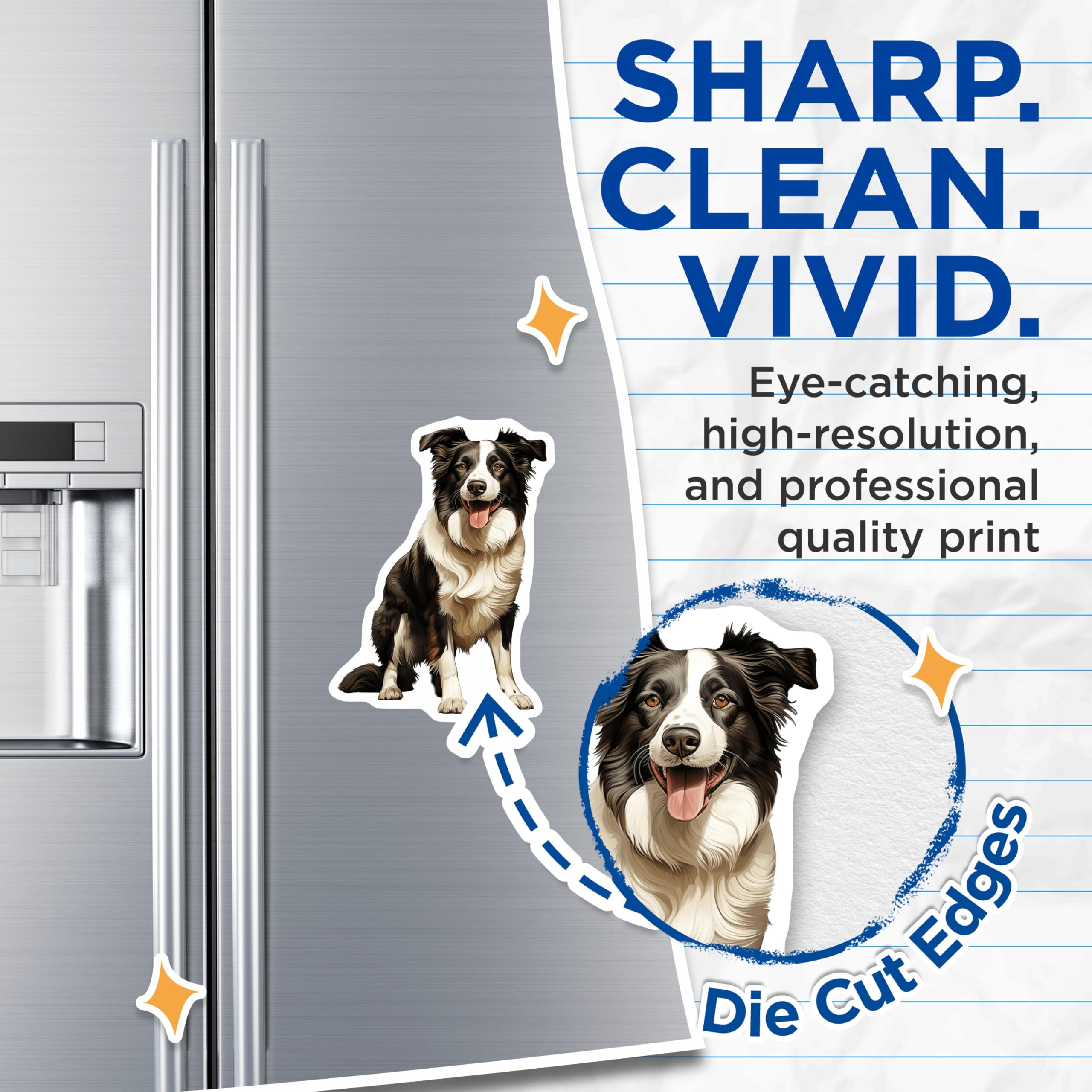 (2 Pack) Border Collie Magnets - Dog Owner Accessories - Herd Dog Fridge Art - 5 Inches On Longest Side - Thick Durable Magnet - Made in USA - MAG27824