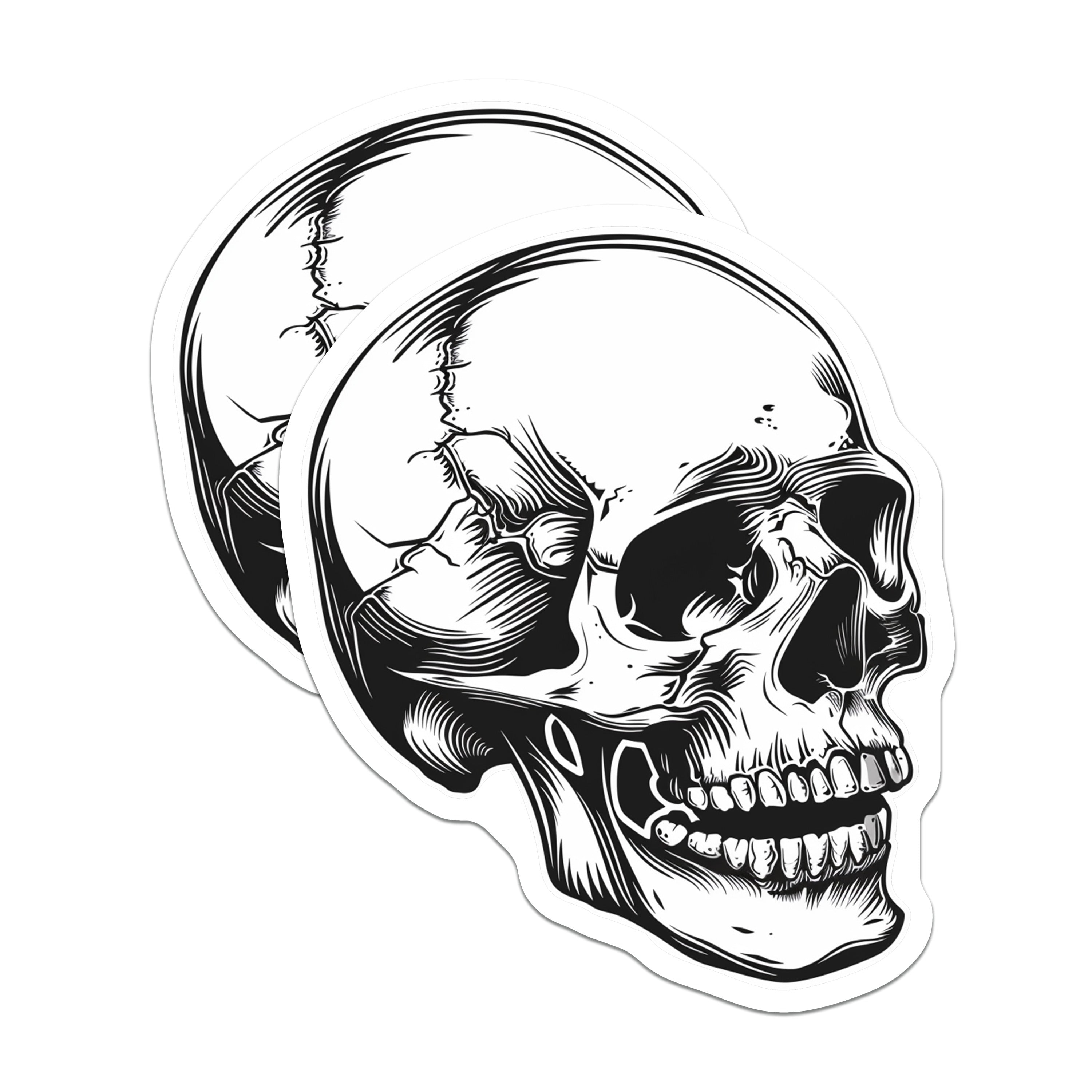 (2 Pack) Skull Magnets - Gothic Decor - Edgy Tattoo Art - Halloween Fridge Magnets - Alternative Home Decor - Macabre Anatomy Skull - 5" - Durable Magnet - Made in USA - MAG37075