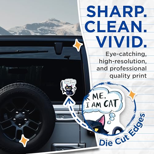 (2 Pack) Fear Me I Am Cat Stickers - Cat Lovers - 5" On Longest Side - Sticks to Smooth Flat Surfaces - Made in USA - BMCS8745 - BMCS8745