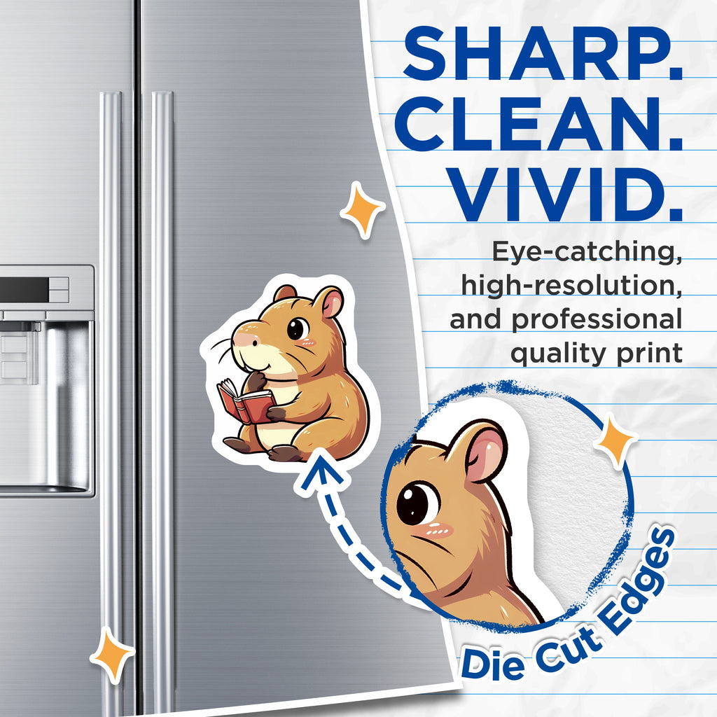 (2 Pack) Cute Hamster Reading Magnets - Book Lover Animal Decor - Student Librarian Fridge Accessory - 5 Inches On Longest Side - Thick Durable Magnet - Made in USA - MAG36241