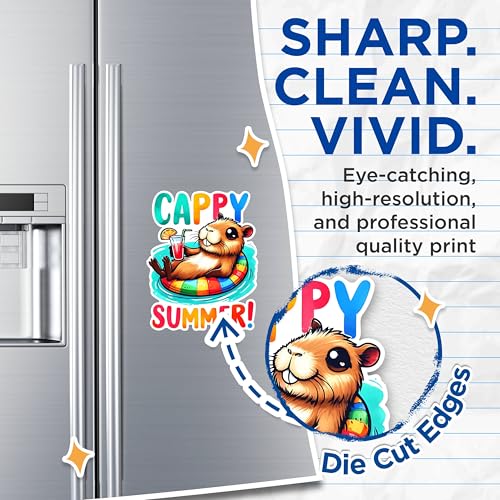 (2 Pack) Cappy Summer Magnets - Relaxing Animal Magnets - Cute Drink Magnets- 5" On Longest Side - for Fridges, Toolboxes, Cars - Made in USA - MAG2664