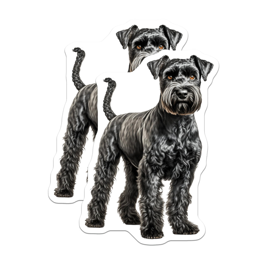 (2 Pack) Miniature Schnauzer Magnets - Black Schnauzer Dog Art - Dog Owner Kitchen Decor - 5 Inches On Longest Side - Thick Durable Magnet - Made in USA - MAG26206