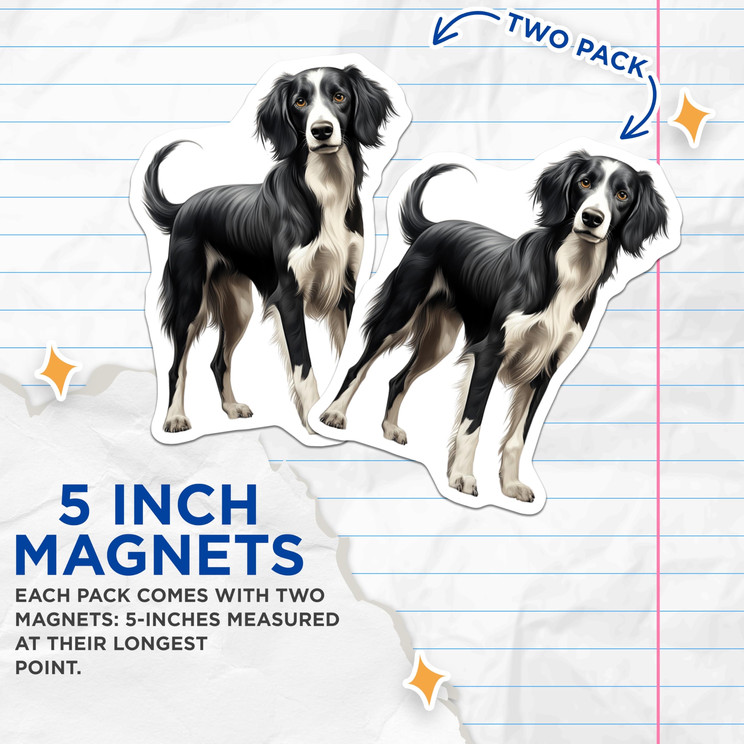 (2 Pack) Border Collie Dog Magnets - Realistic Black White Pet Art Magnet - Animal Lover Fridge Decor for Dog Parents - 5 Inches On Longest Side - Thick Durable Magnet - Made in USA - MAG30995