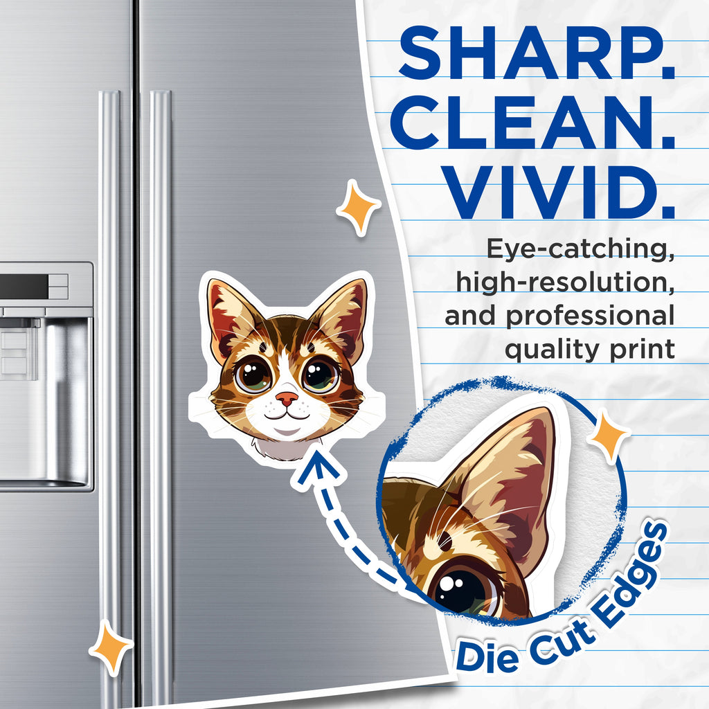 (2 Pack) Cute Cat Head Magnets - Kawaii Kitten Decor - Anime Style Pet Lover - Refrigerator Locker Accessory - 5 Inches On Longest Side - Thick Durable Magnet - Made in USA - MAG38642