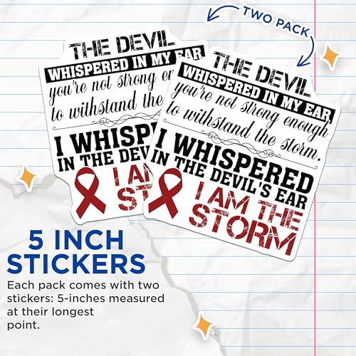 (2 Pack) Motivational Quote Stickers - Inspirational Sayings - Positive Affirmation Stickers for Journals Laptops - 5" On Longest Side - Sticks to Smooth Flat Surfaces - Made in USA - BMCS5078