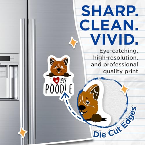 (2 Pack) I Love My Poodle Magnets - Dog Lover - Cute Dog Fridge Magnets - Paw Print Magnet - Pet Owner Gifts - 5" On Longest Side - for Cars, Fridges, Toolboxes - Made in USA - MAG4294
