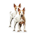 (2 Pack) Pit Bull Dog Magnets - American Staffordshire Terrier Art - Canine Lover Refrigerator Decor Accessories - 5 Inches On Longest Side - Thick Durable Magnet - Made in USA - MAG23876