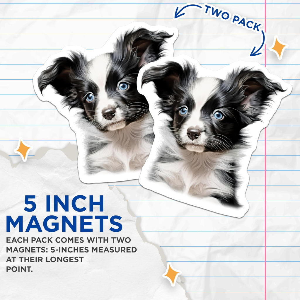 (2 Pack) Border Collie Puppy Magnets - Blue Eyed Dog Mom - Cute Pet Lover Decor - 5 Inches On Longest Side - Thick Durable Magnet - Made in USA - MAG30331