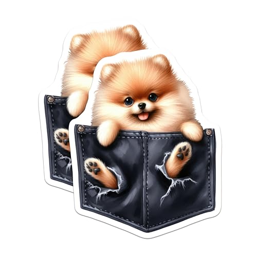 (2 Pack) Cute Pomeranian Dog Magnets - 3D Pet Magnets for Fridge - Animal Refrigerator - Adorable Pet Magnets - 5" On Longest Side - for Cars, Fridges, Toolboxes - Made in USA - MAG4249