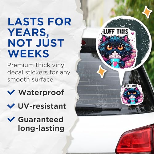 (2 Pack) Fluff This Cat Stickers - Cute Cat Art - Funny Cat Quote Stickers - 5" On Longest Side - Sticks to Smooth Flat Surfaces - Made in USA - BMCS4591