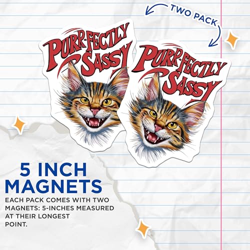 (2 Pack) Purr-fectly Sassy Magnets - Cute Cat Magnets - Fun Fridge Magnets - 5" On Longest Side - for Cars, Fridges, Toolboxes - Made in USA - MAG3957