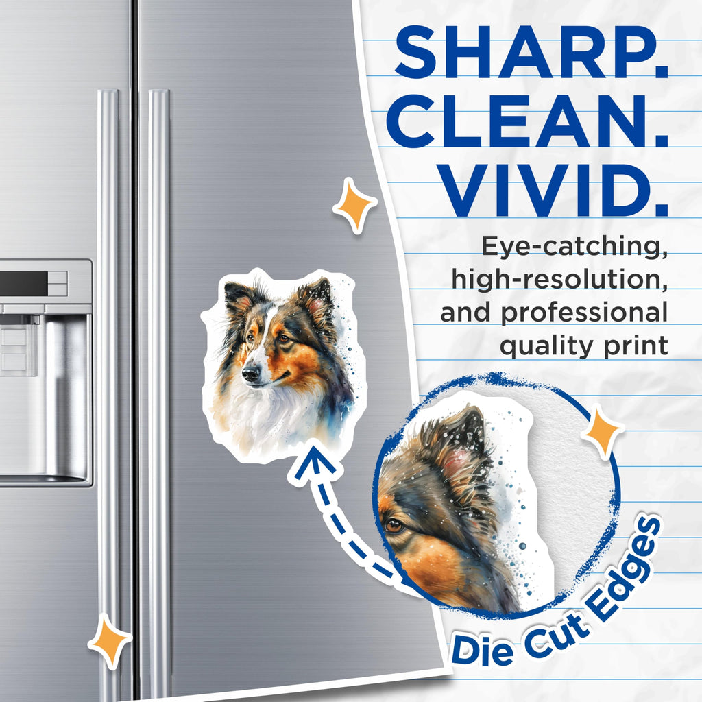 (2 Pack) Sheltie Magnets - Watercolor Dog Art - Shetland Sheepdog Decor - Canine Lover Magnet Set - 5 Inches On Longest Side - Thick Durable Magnet - Made in USA - MAG24365