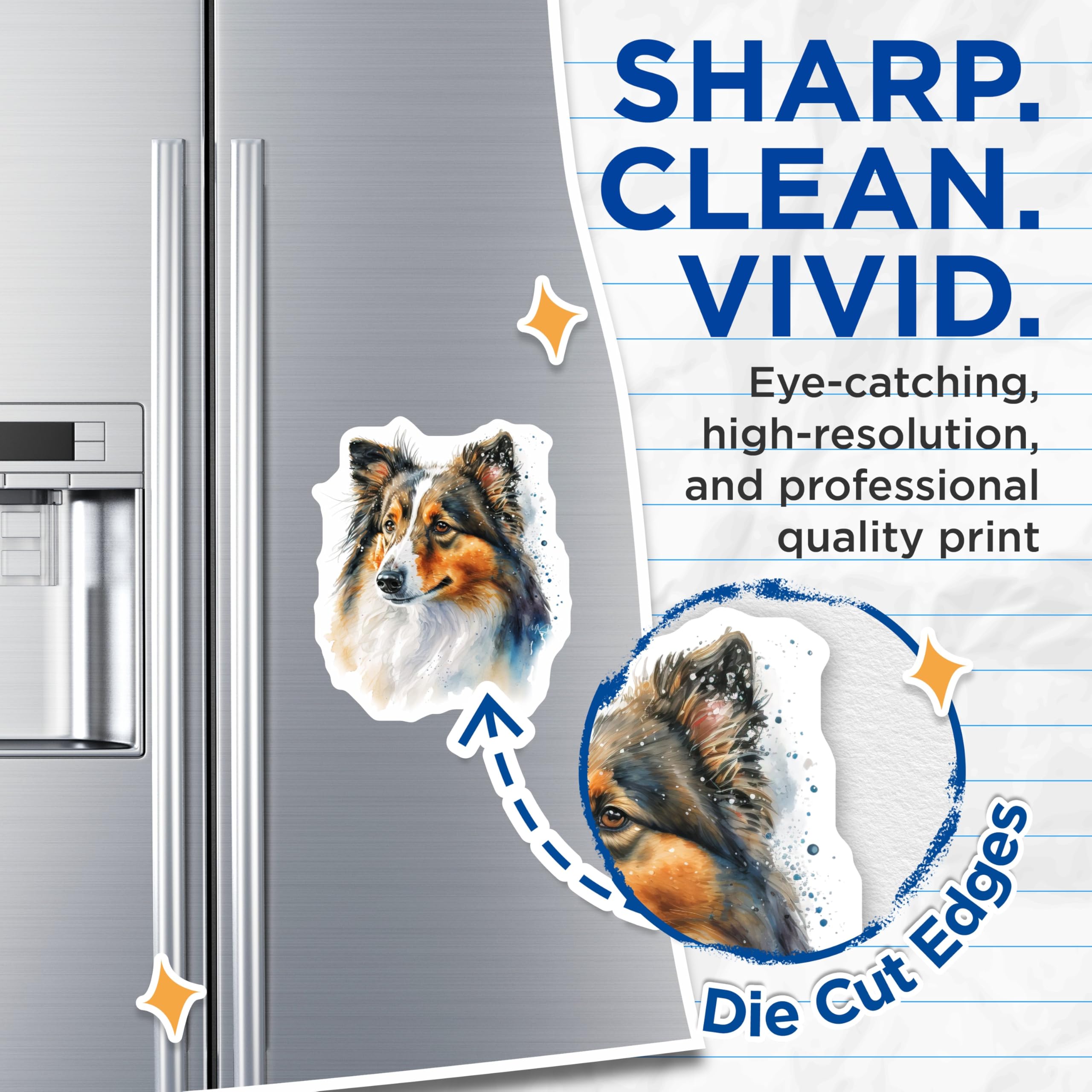 (2 Pack) Sheltie Magnets - Watercolor Dog Art - Shetland Sheepdog Decor - Canine Lover Magnet Set - 5 Inches On Longest Side - Thick Durable Magnet - Made in USA - MAG24365