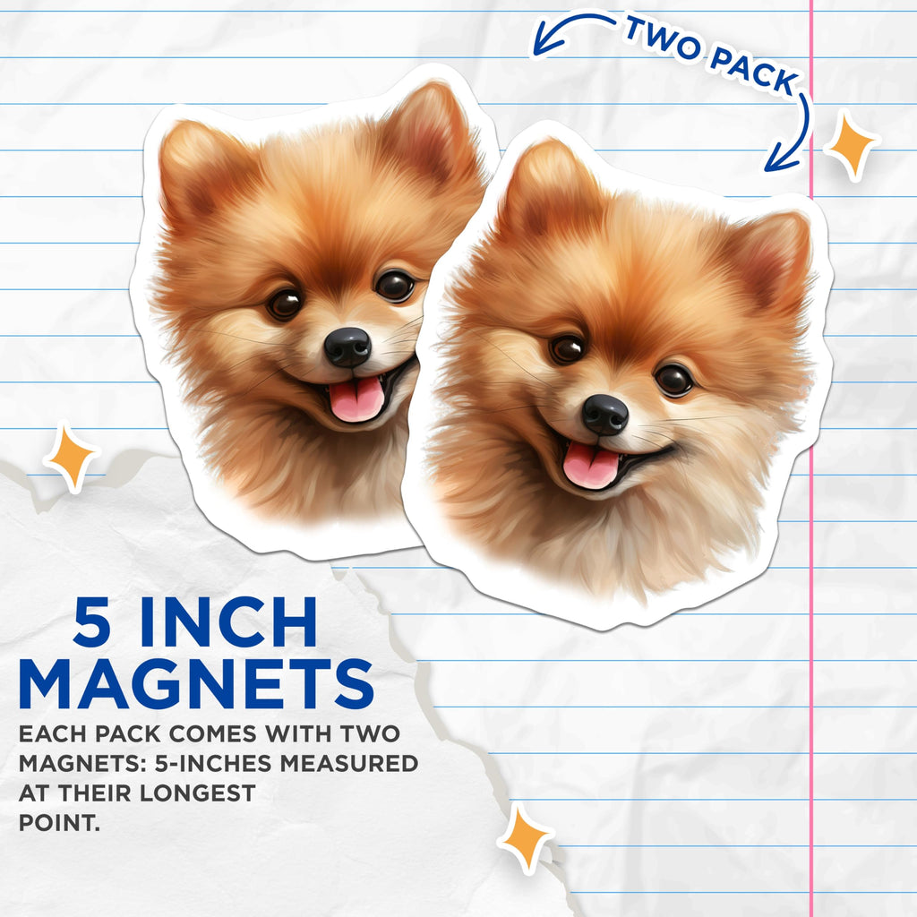 (2 Pack) Pomeranian Magnets - Cute Dog Lover Fridge Decor - Pet Parent Kitchen Accessory - Happy Smiling Canine Refrigerator - 5 Inches On Longest Side - Thick Durable Magnet - Made in USA - MAG26539