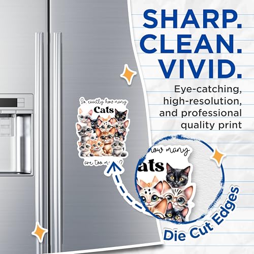 (2 Pack) Funny Cat Quote Magnets - Cute Cat Illustration Magnets - Cat Lover Decor Magnets- 5" On Longest Side - for Fridges, Toolboxes, Cars - Made in USA - MAG2937