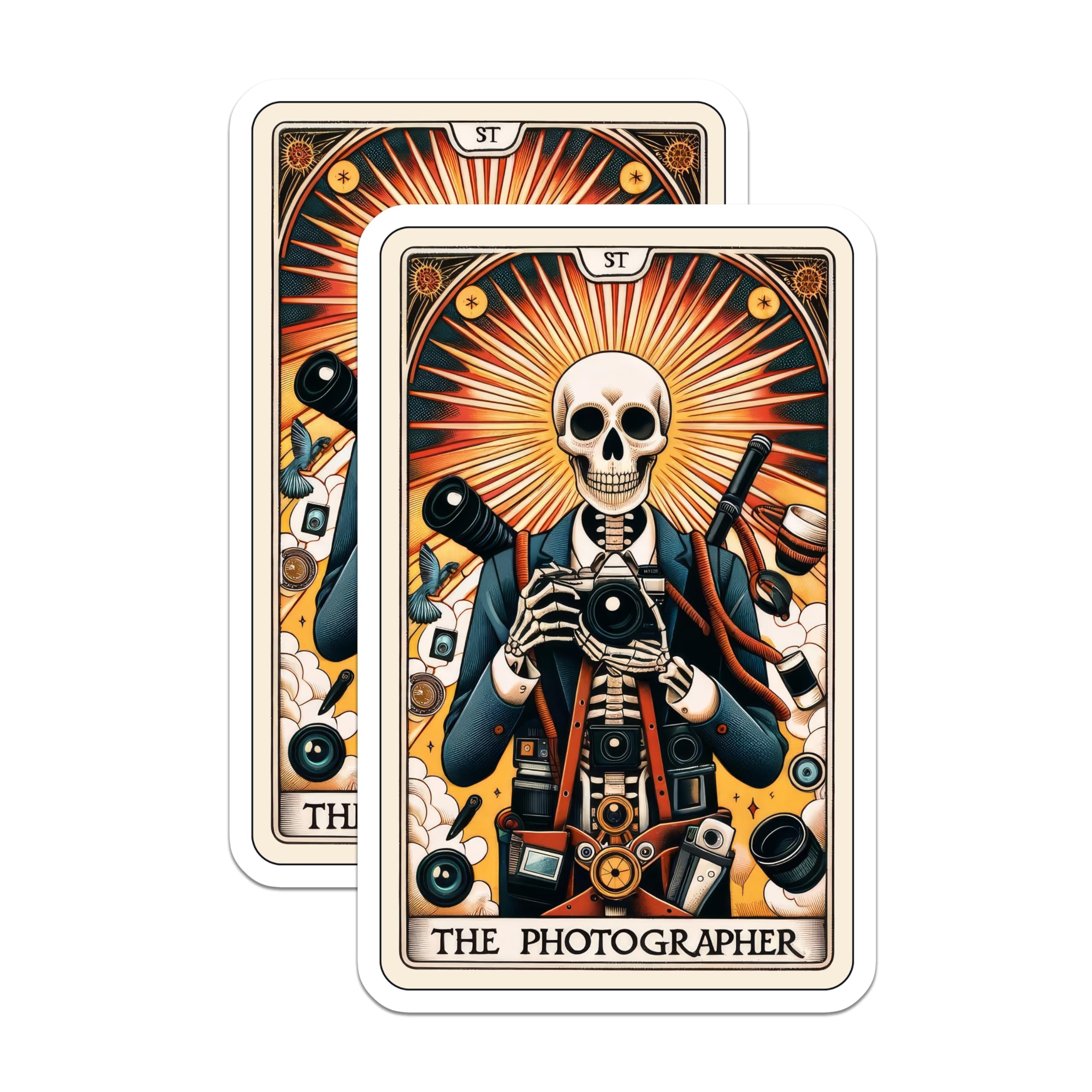 (2 Pack) Skeleton Photographer Magnets - Unique Tarot Card Style Photography Art - Creative Camera Lover Fridge Decor - 5 Inches On Longest Side - Thick Durable Magnet - Made in USA - MAG20500