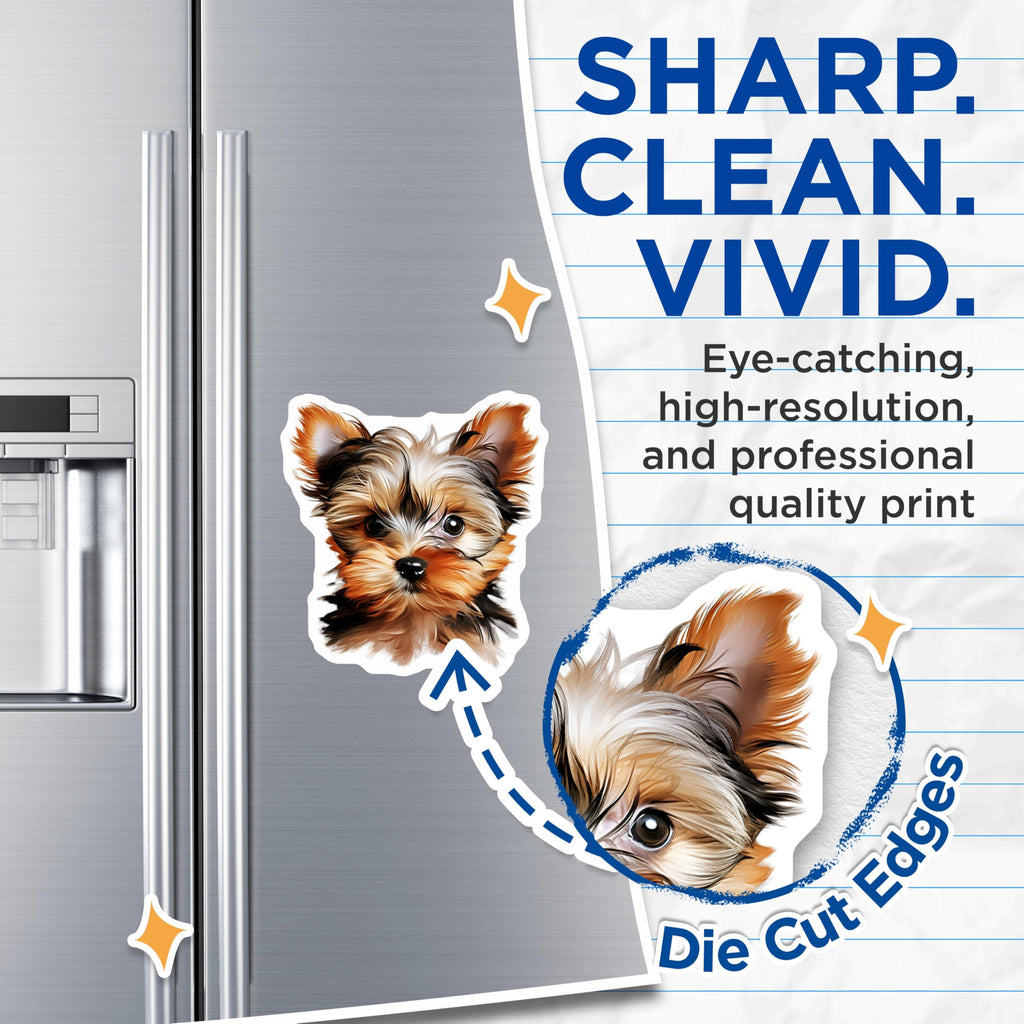 (2 Pack) Yorkshire Terrier Magnets - Cute Yorkie Puppy Art - Dog Mom Fridge Decor - Pet Owner Refrigerator Magnets - 5 Inches On Longest Side - Thick Durable Magnet - Made in USA - MAG25896