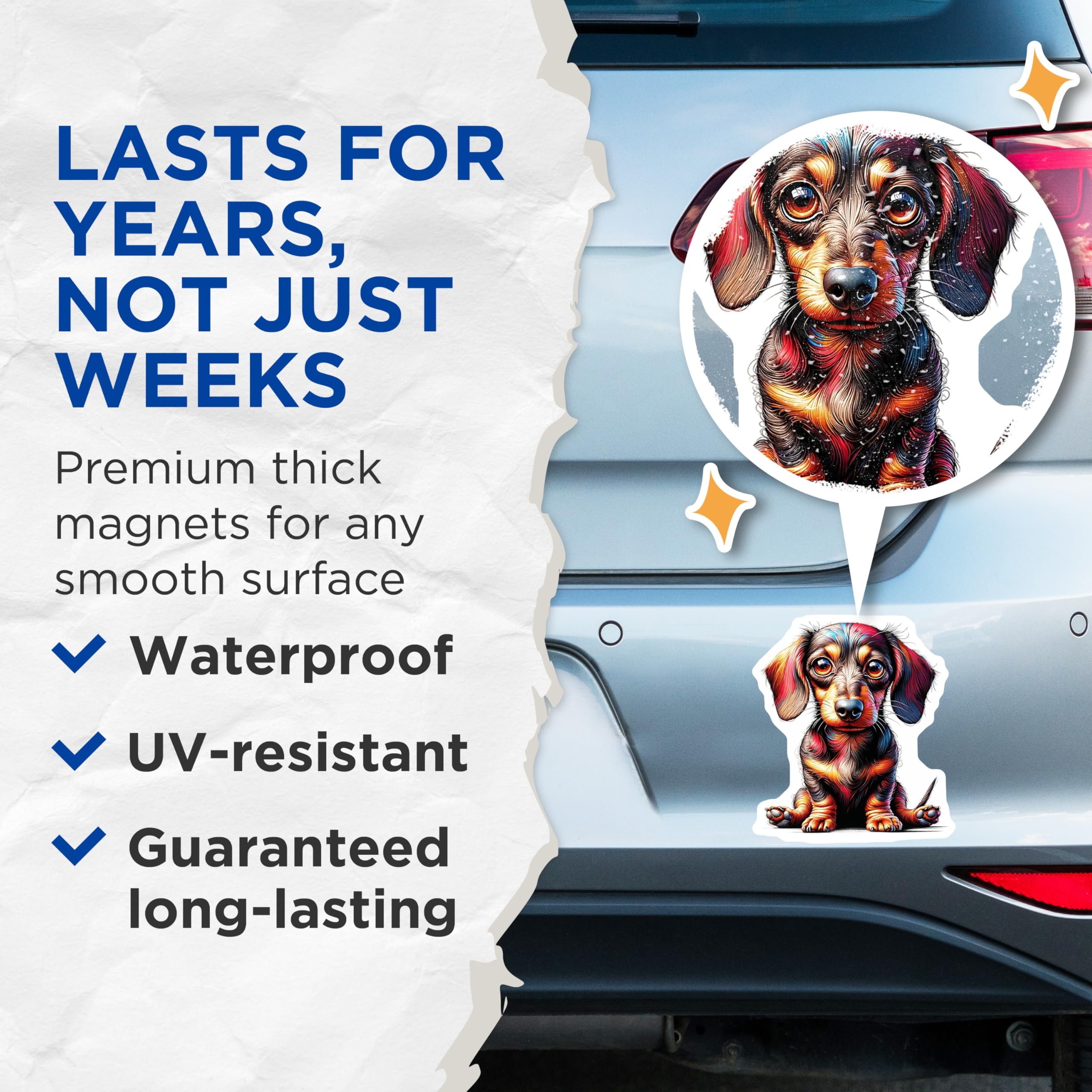 (2 Pack) Dachshund Dog Magnets - Cute Puppy Art - Sausage Dog Decor - 5" On Longest Side - Premium Magnet - for Cars, Refrigerators, Toolboxes, Lockers - Made in USA - MAG14091