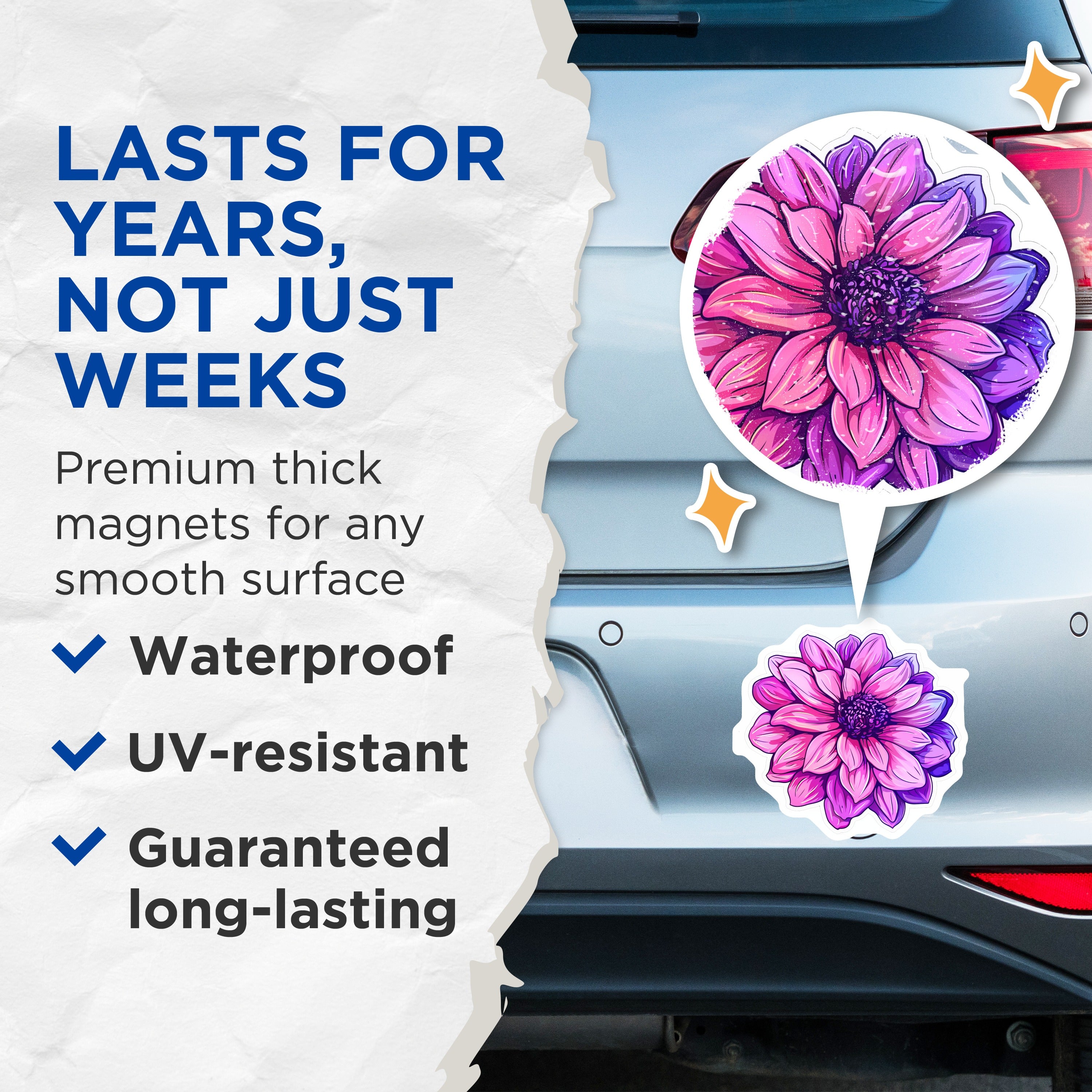 (2 Pack) Pink Purple Dahlia Magnets - Vibrant Floral Fridge Decor - Botanical Flower Art - Aesthetic Locker Accessory - 5 Inches On Longest Side - Thick Durable Magnet - Made in USA - MAG38319