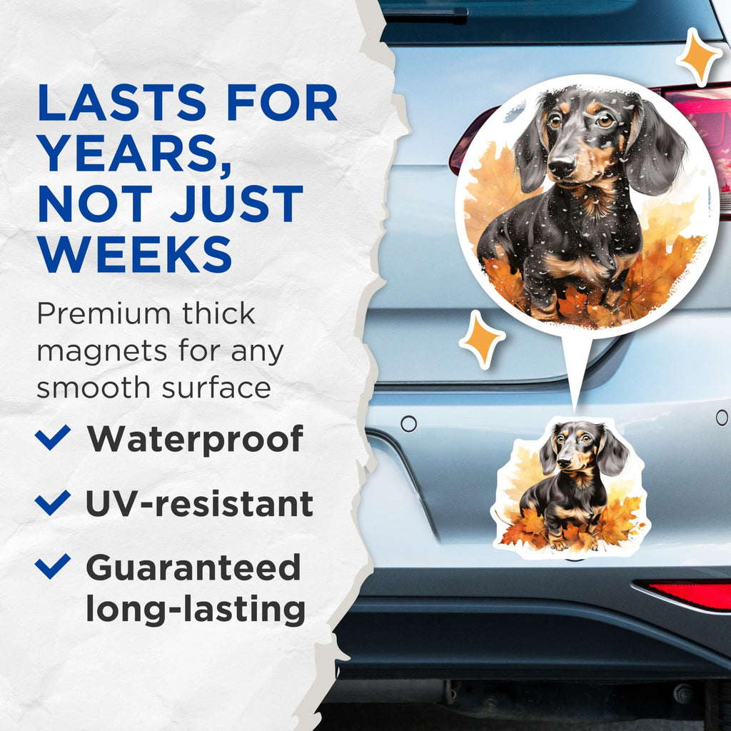 (2 Pack) Dachshund Dog Magnets - Fall Leaves Pet Decor - Wiener Dog Refrigerator Art - 5 Inches On Longest Side - Thick Durable Magnet - Made in USA - MAG24604
