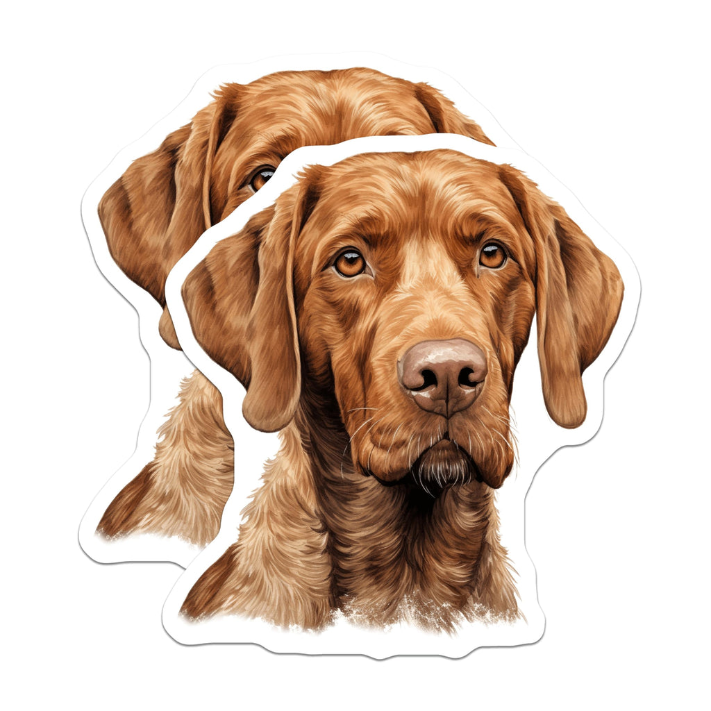 (2 Pack) Vizsla Dog Magnets - Loyal Hunting Breed - Refrigerator Decor for Pet Owners - Dog Mom Dad Appreciation - 5 Inches On Longest Side - Thick Durable Magnet - Made in USA - MAG25376