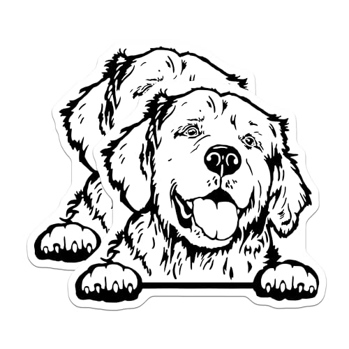 (2 Pack) Golden Retriever Face Car Fridge Magnets - Dog Lovers - Animal Art for Refrigerator ation - 5" On Longest Side - for Cars, Fridges, Toolboxes - Made in USA - MAG4035