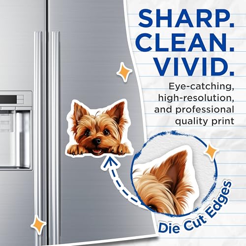 (2 Pack) Pet Lover's Kitchen Decor Magnet - Fun Fridge Accessories - 5" On Longest Side - Sticks to Smooth Flat Surfaces - Made in USA - MAG10281