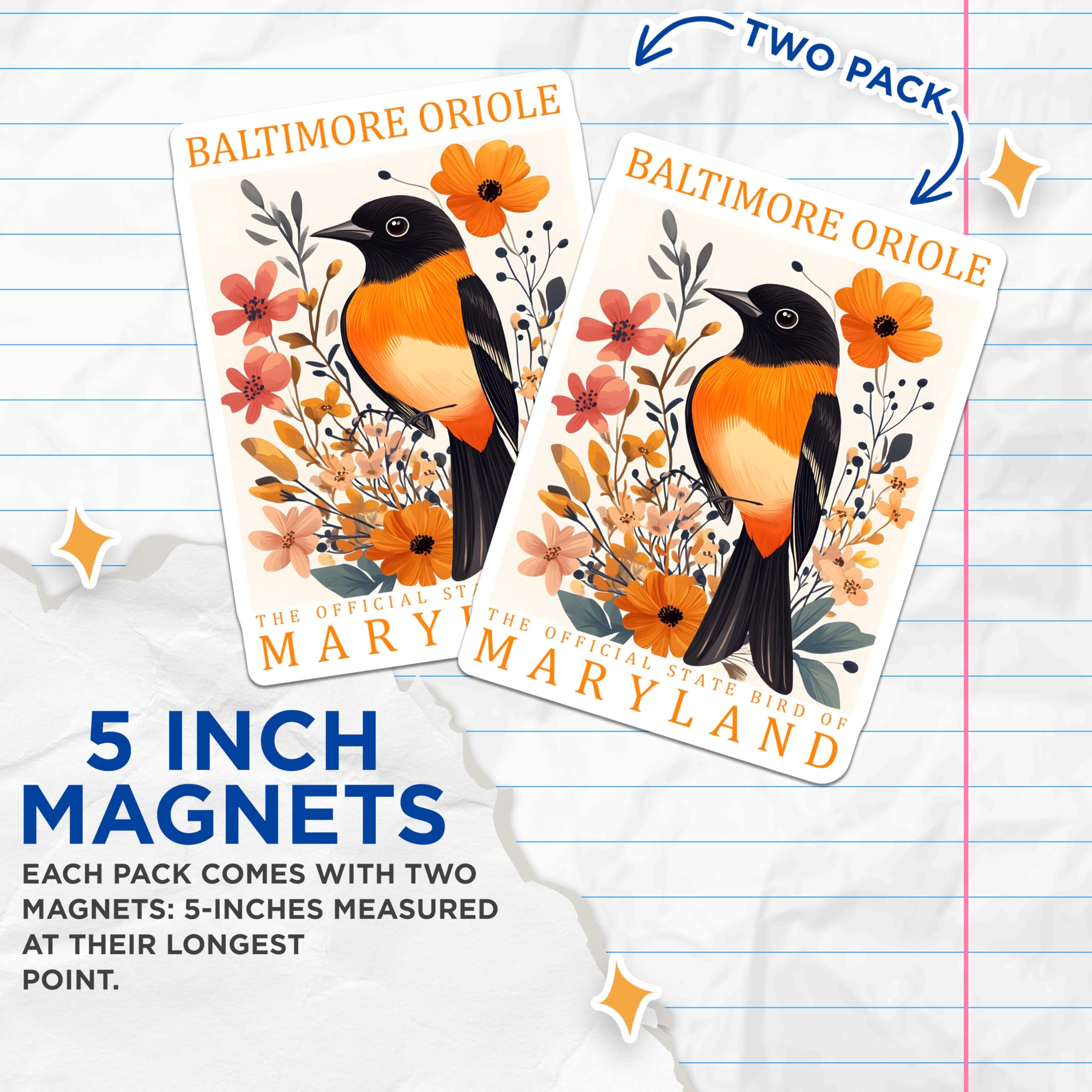 (2 Pack) Baltimore Oriole Magnets - Maryland State Bird - Floral Art Decor - 5" On Longest Side - Premium Magnet - for Cars, Refrigerators, Toolboxes, Lockers - Made in USA - MAG18157