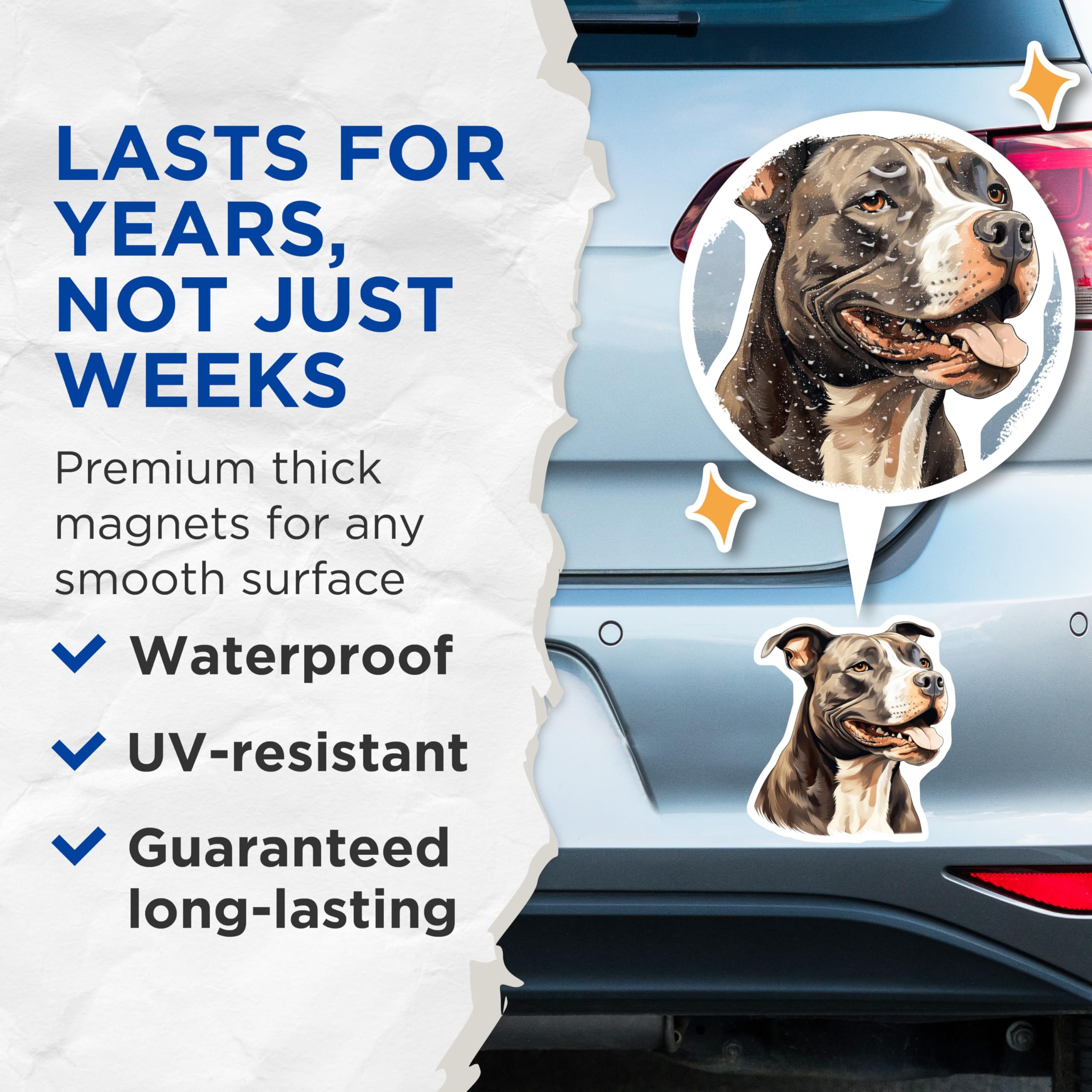 (2 Pack) Pitbull Dog Magnets - Dog Lover Refrigerator Art - Pet Owner Appliance Decor - Animal Breed Display - 5 Inches On Longest Side - Thick Durable Magnet - Made in USA - MAG30552