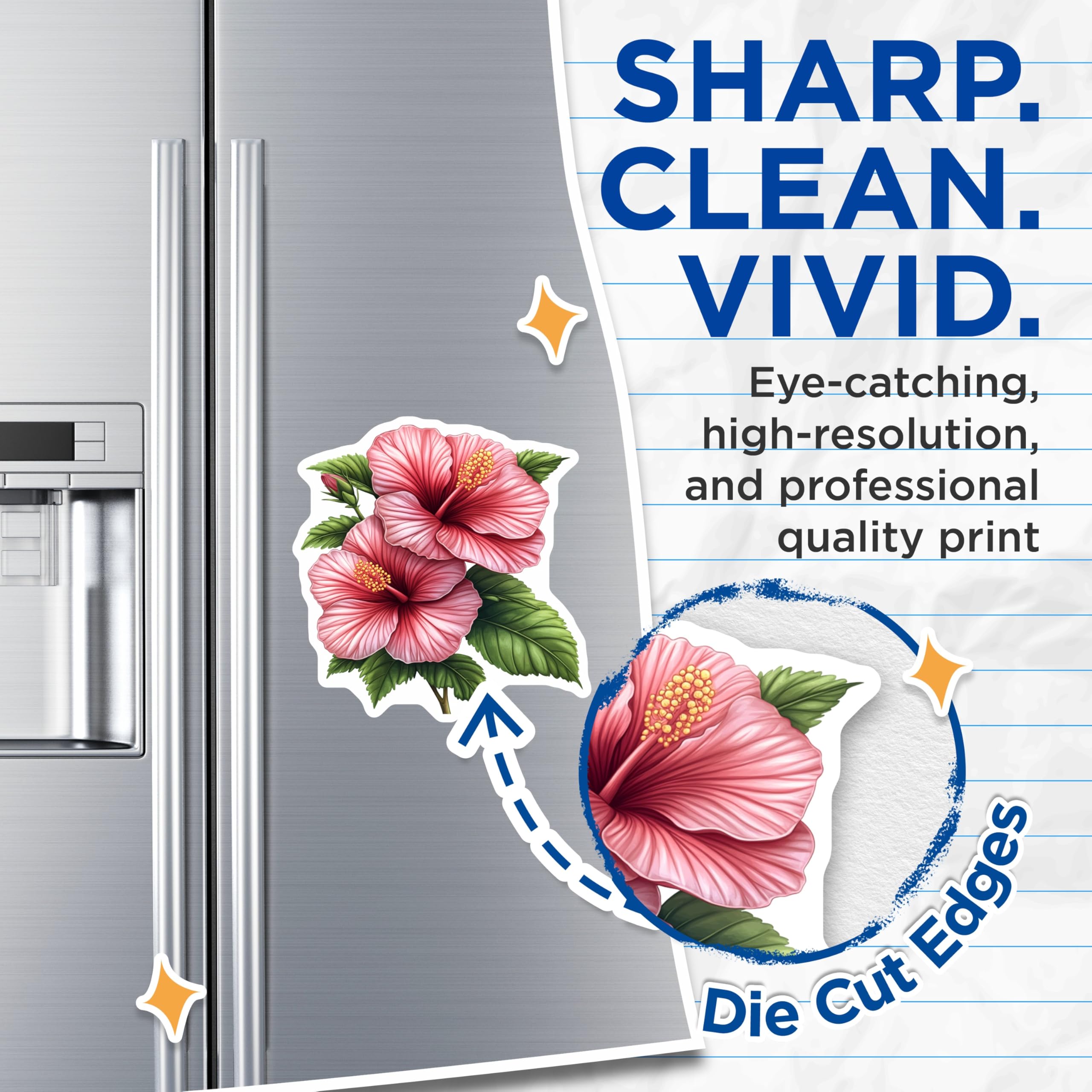 (2 Pack) Pink Hibiscus Flower Magnets - Tropical Floral Decor - Summer Botanical Art - Hawaiian Bloom Refrigerator Decoration - 5 Inches On Longest Side - Thick Durable Magnet - Made in USA - MAG24840