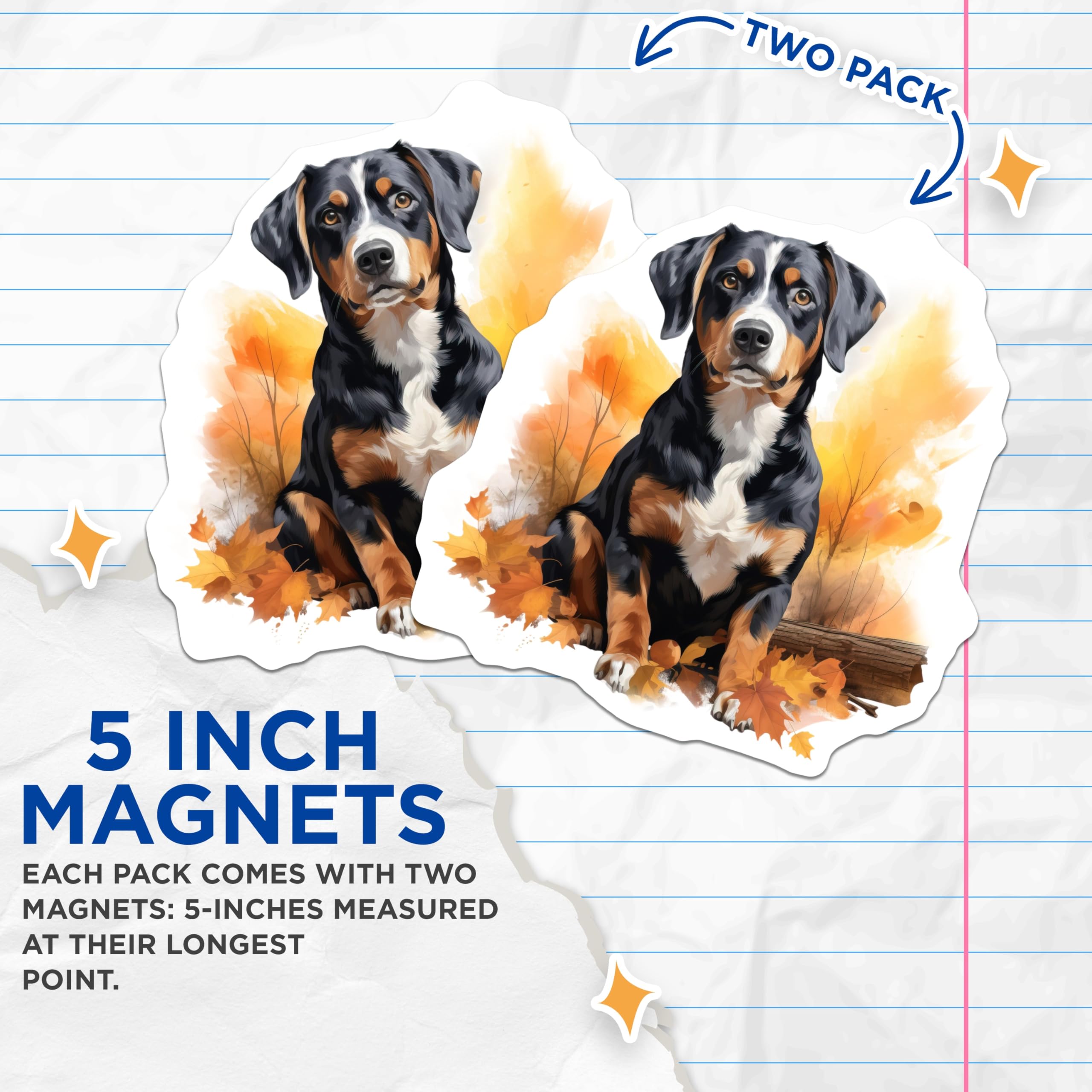 (2 Pack) Bernese Mountain Dog Magnets - Fall Dog Lover Decor - Tricolor Swiss Dog Art - 5 Inches On Longest Side - Thick Durable Magnet - Made in USA - MAG28159
