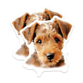 (2 Pack) Welsh Terrier Puppy Magnets - Dog Lover Decor - Dog Mom Dad Accessory - 5 Inches On Longest Side - Thick Durable Magnet - Made in USA - MAG25347