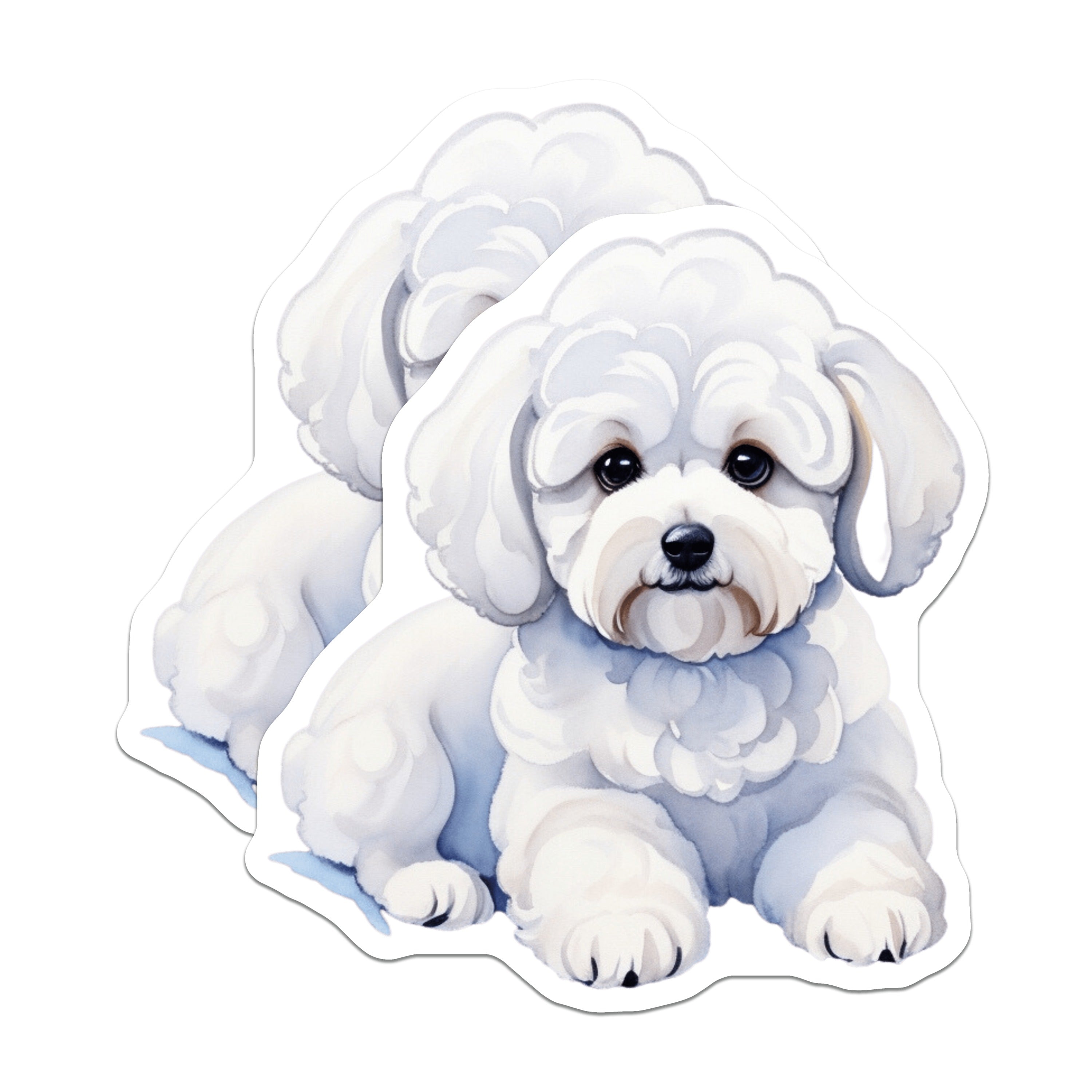 (2 Pack) Adorable Bichon Frise Magnets - Fluffy White Puppy Lover - Dog Mom Refrigerator Locker Decor - 5 Inches On Longest Side - Thick Durable Magnet - Made in USA - MAG39585