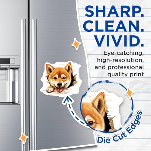 (2 Pack) Funny Dog Lover Decor Magnet - 5" On Longest Side - Sticks to Smooth Flat Surfaces - Made in USA - MAG10277