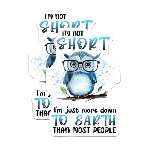 (2 Pack) Funny Owl Stickers - Cute Animal - Pun for Laptops and Water Bottles - 5" On Longest Side - Sticks to Smooth Flat Surfaces - Made in USA - BMCS7722